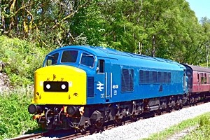 Diesel gala driver experiences with Classes 31, 45 and 50!